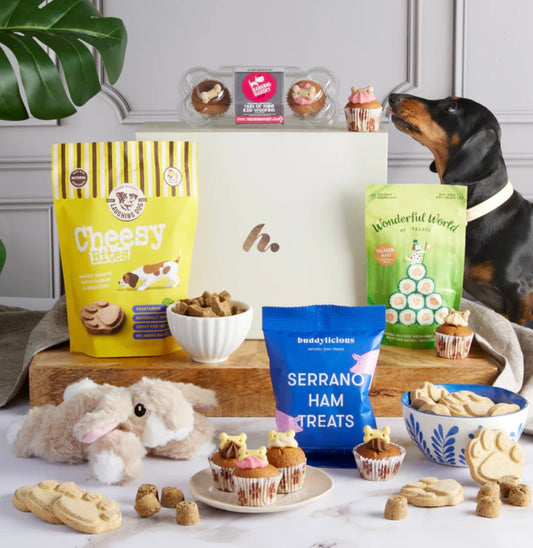 Dog Lover Gift Box – Premium Dog Treats, Plush Toy & Woofins Hamper
