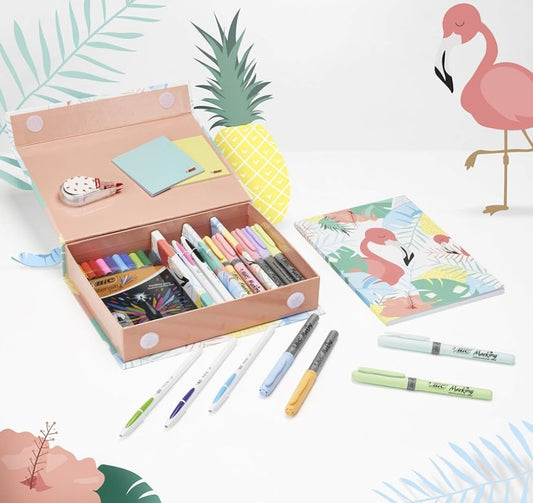 BIC Stationery Gift Set