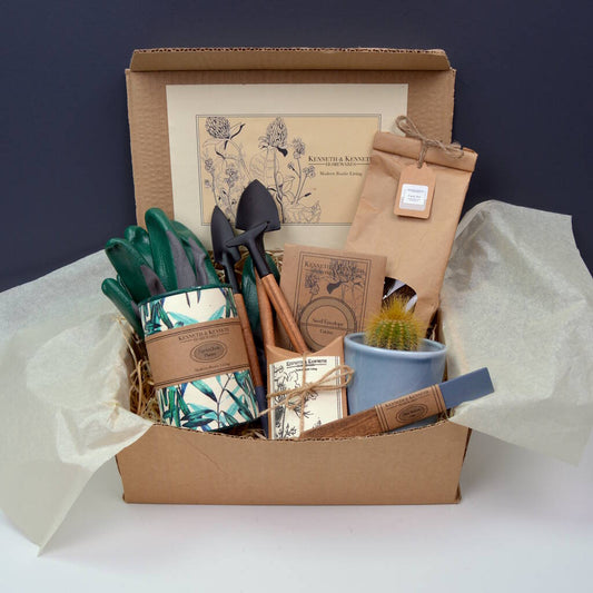 Grow Your Own Cactus Gift Set – Indoor Plant Gift for Garden Lovers